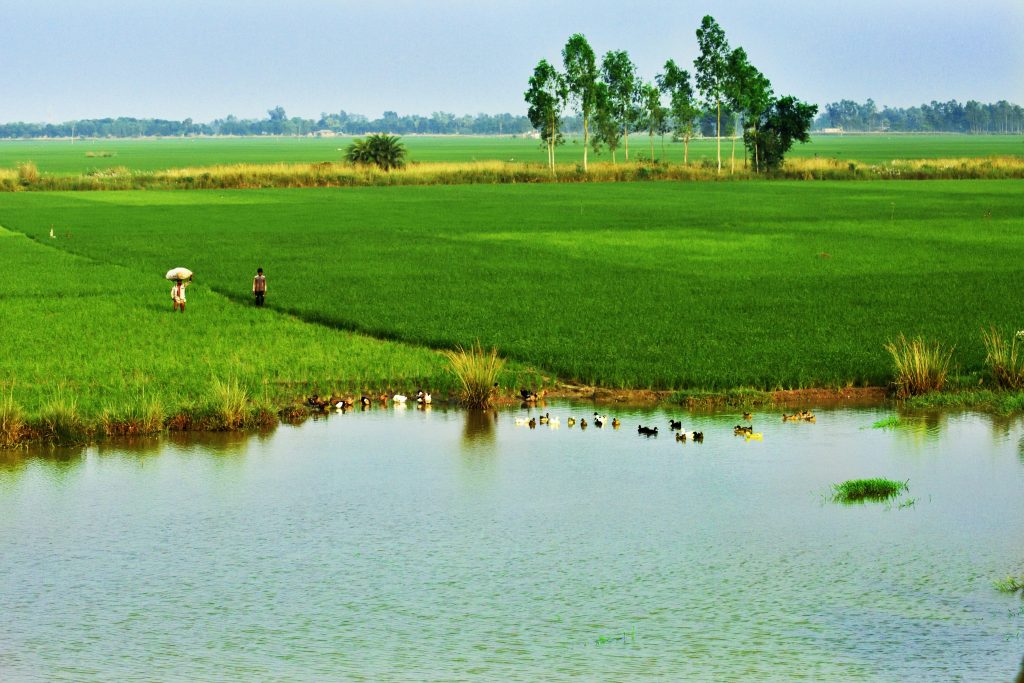  How to travel in Bangladesh