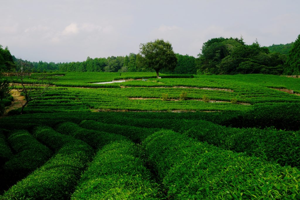Bangladesh's Top 10 Beautiful Places to Visit in 2025